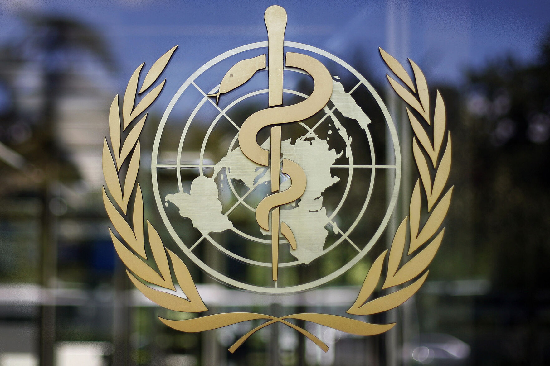 How many monkeypox cases are there typically?